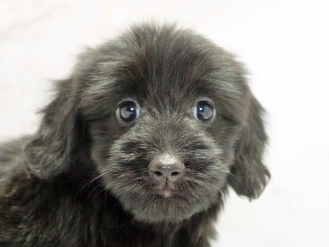 ����å�����Ⱦܺ٥ǡ����������ޤ���