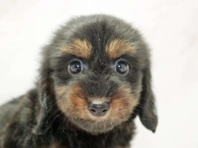 ����å�����Ⱦܺ٥ǡ����������ޤ���