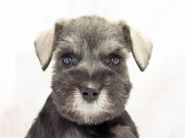 ����å�����Ⱦܺ٥ǡ����������ޤ���