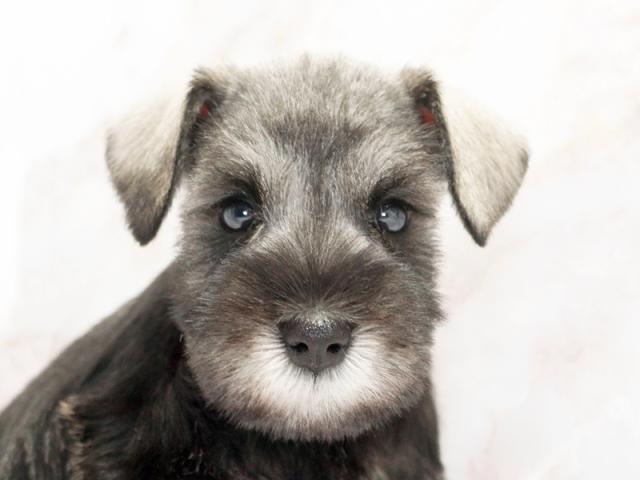 ����å�����Ⱦܺ٥ǡ����������ޤ���