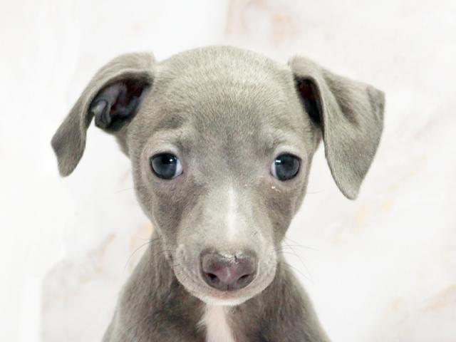 クリックすると詳細データが見られます。