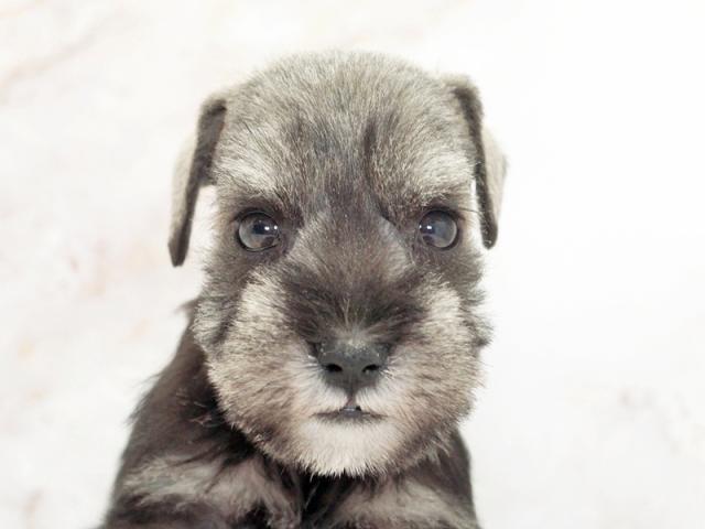 ����å�����Ⱦܺ٥ǡ����������ޤ���