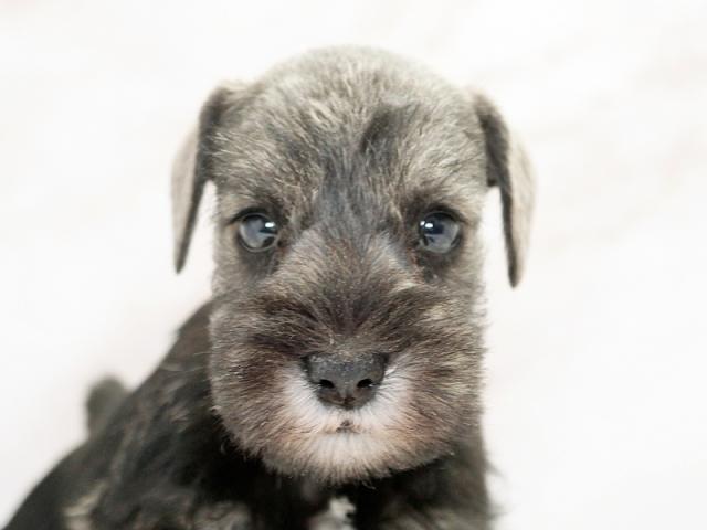 ����å�����Ⱦܺ٥ǡ����������ޤ���