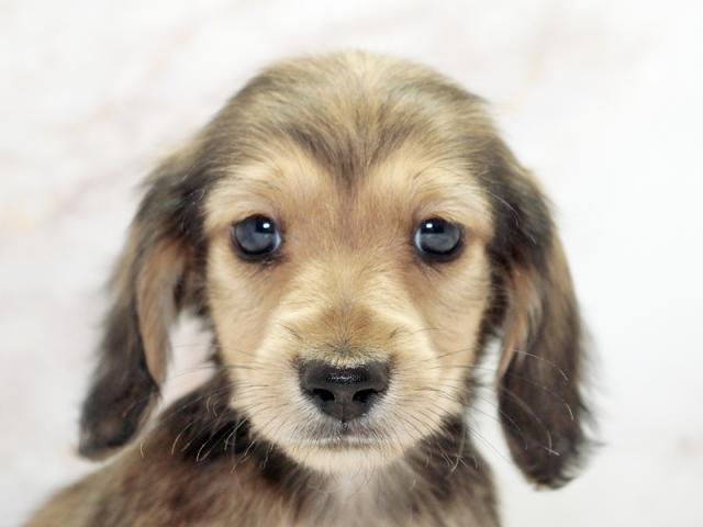 ����å�����Ⱦܺ٥ǡ����������ޤ���