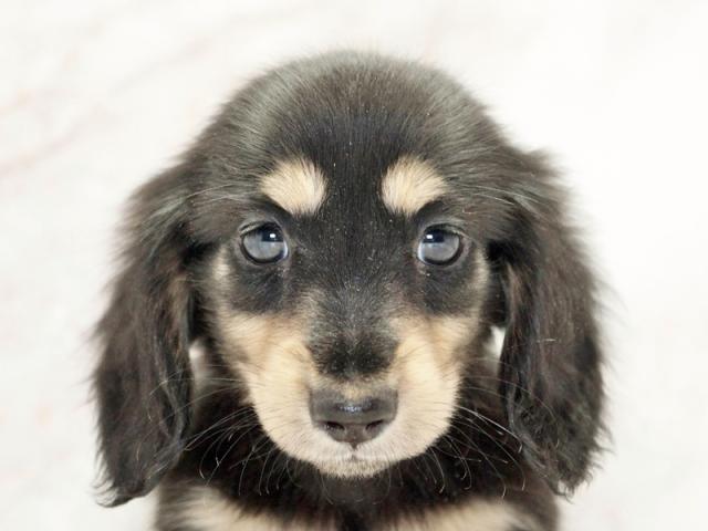 ����å�����Ⱦܺ٥ǡ����������ޤ���