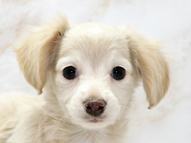 ����å�����Ⱦܺ٥ǡ����������ޤ���