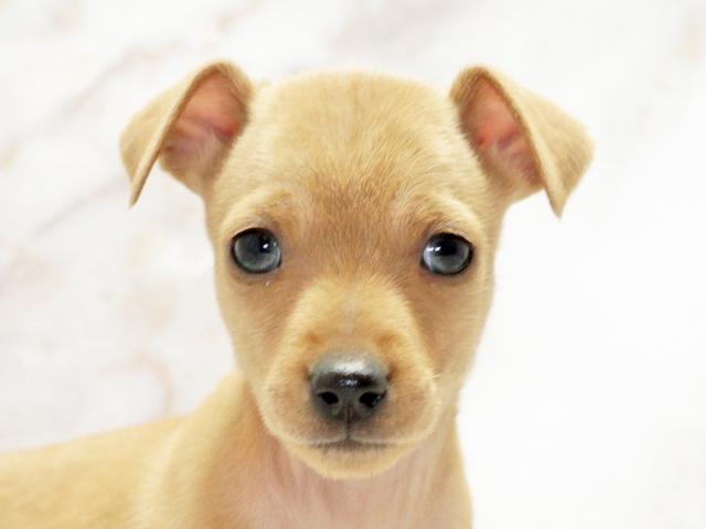 ����å�����Ⱦܺ٥ǡ����������ޤ���