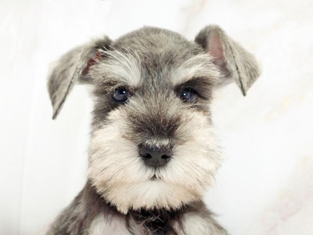 ����å�����Ⱦܺ٥ǡ����������ޤ���