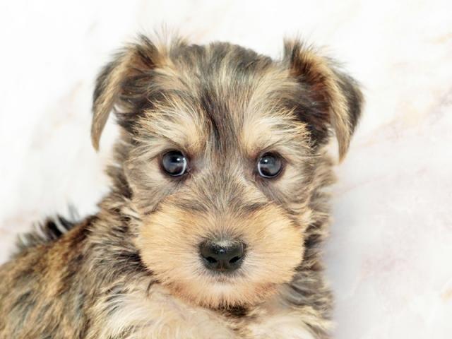 ����å�����Ⱦܺ٥ǡ����������ޤ���