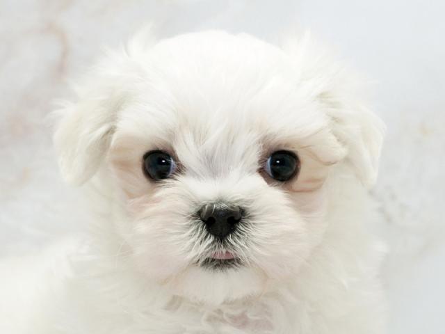 ����å�����Ⱦܺ٥ǡ����������ޤ���