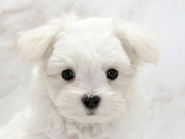 ����å�����Ⱦܺ٥ǡ����������ޤ���