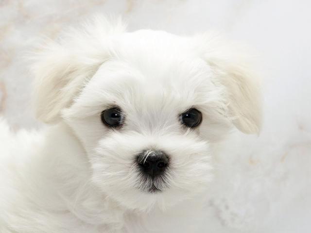 ����å�����Ⱦܺ٥ǡ����������ޤ���