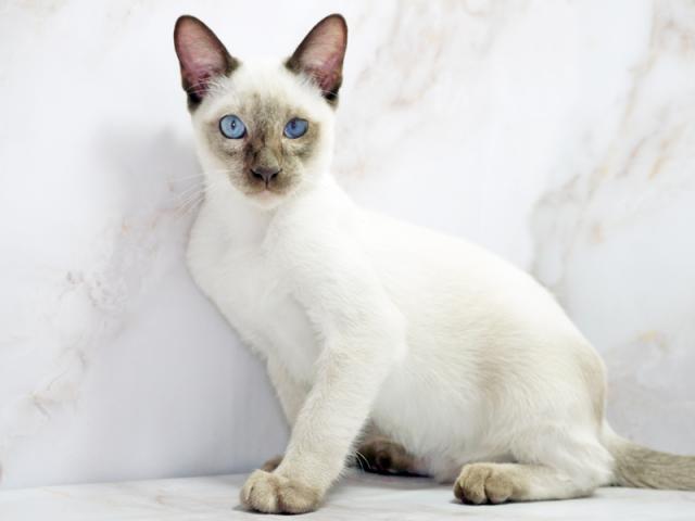 ����ͥ���2