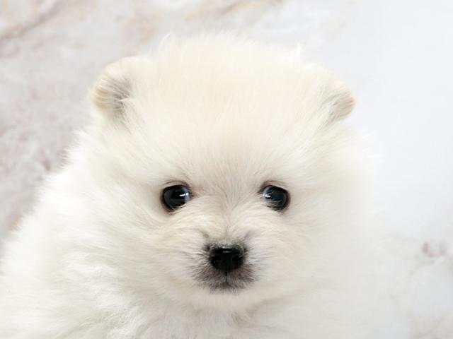 クリックすると詳細データが見られます。