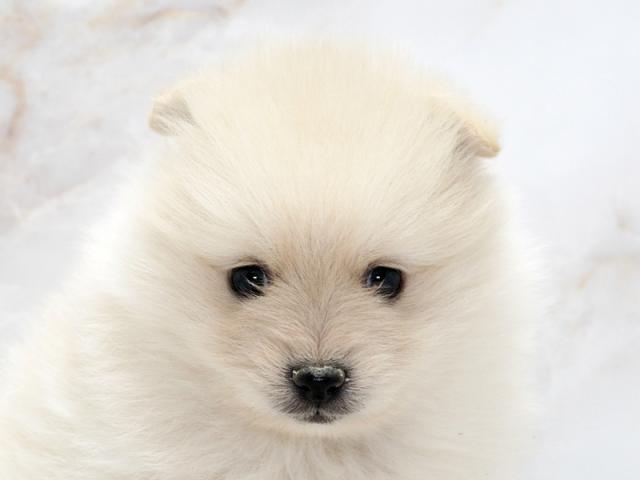 クリックすると詳細データが見られます。