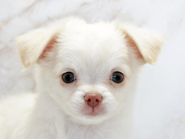 ����å�����Ⱦܺ٥ǡ����������ޤ���