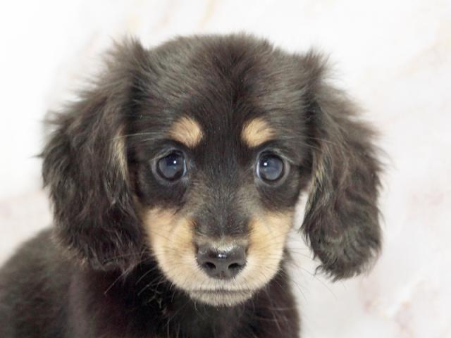 ����å�����Ⱦܺ٥ǡ����������ޤ���