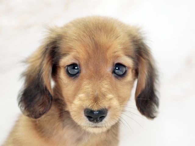 ����å�����Ⱦܺ٥ǡ����������ޤ���