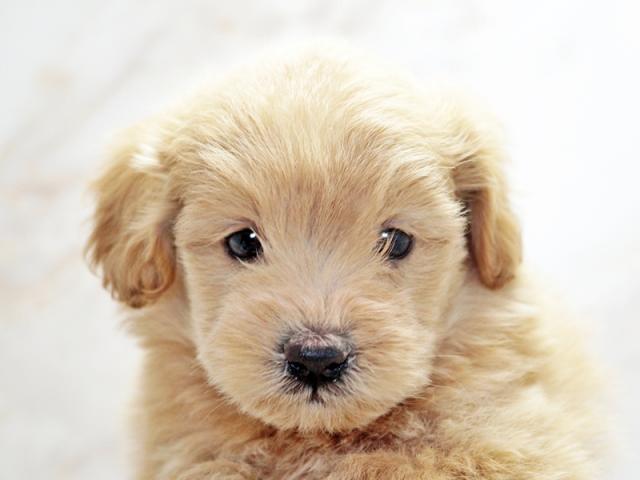 ����å�����Ⱦܺ٥ǡ����������ޤ���