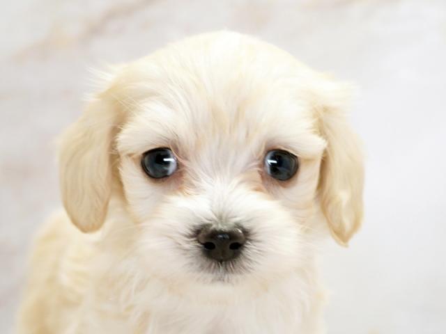 ����å�����Ⱦܺ٥ǡ����������ޤ���