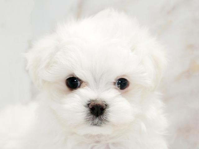 ����å�����Ⱦܺ٥ǡ����������ޤ���