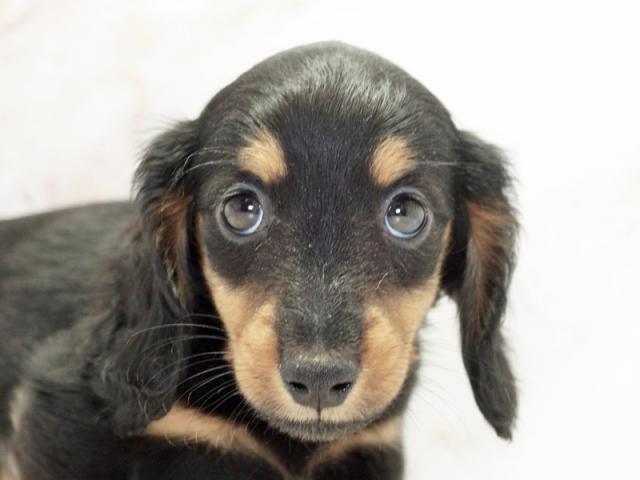 ����å�����Ⱦܺ٥ǡ����������ޤ���