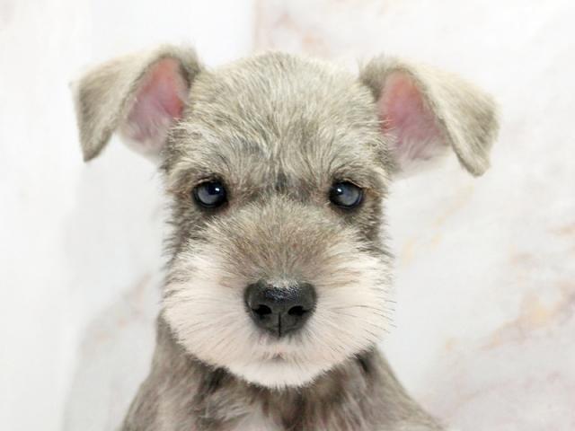 ����å�����Ⱦܺ٥ǡ����������ޤ���