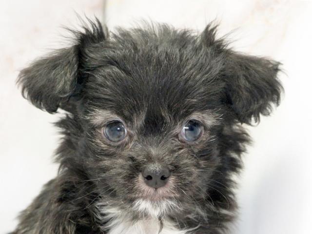 ����å�����Ⱦܺ٥ǡ����������ޤ���