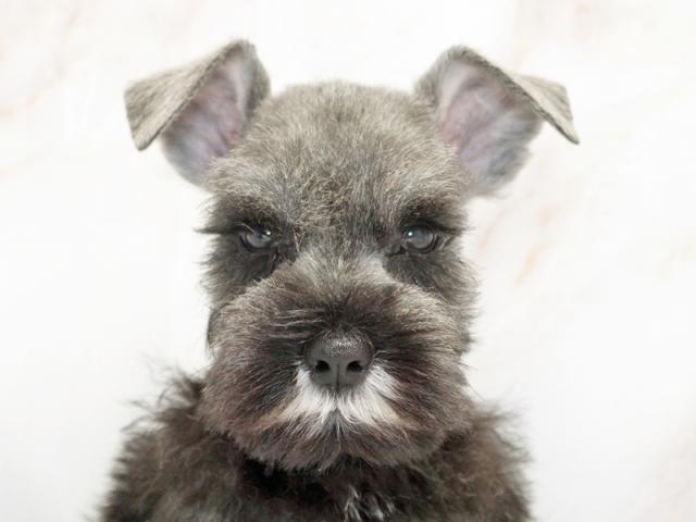 ����å�����Ⱦܺ٥ǡ����������ޤ���