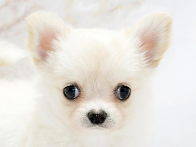 クリックすると詳細データが見られます。