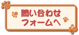 䤤碌Ϥ餫