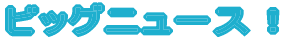 ӥå˥塼 