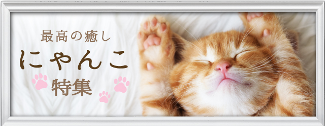 �ǹ�������ˤ���ý�