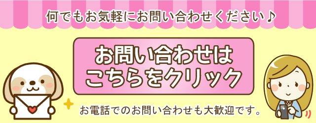 䤤碌Ϥ