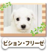 �ӥ���󡦥ե꡼��