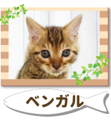 �٥󥬥�