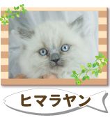 �ҥޥ���