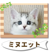 �ߥ̥��å�