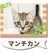 �ޥ������