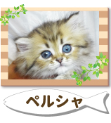 �ڥ륷��