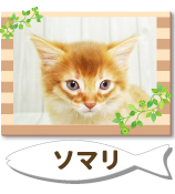 ���ޥ�